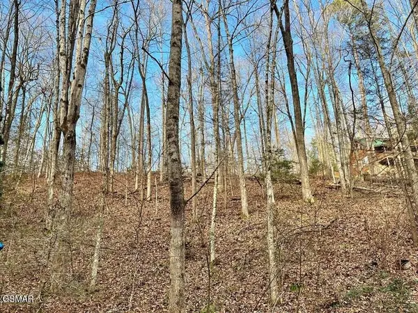 303132 N Highland Drive, Gatlinburg, TN 37738
