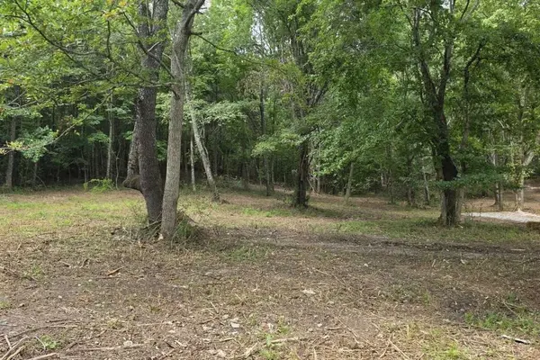 0 Dukes Park Rd, Summertown, TN 38483