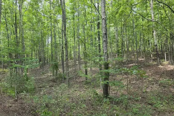 0 N Old Military Rd, Summertown, TN 38483