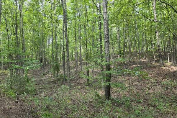 0 N Old Military Rd, Summertown, TN 38483