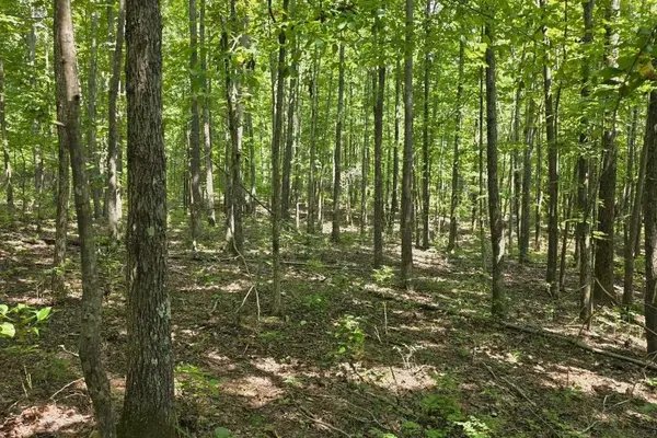 0 N Old Military Rd, Summertown, TN 38483