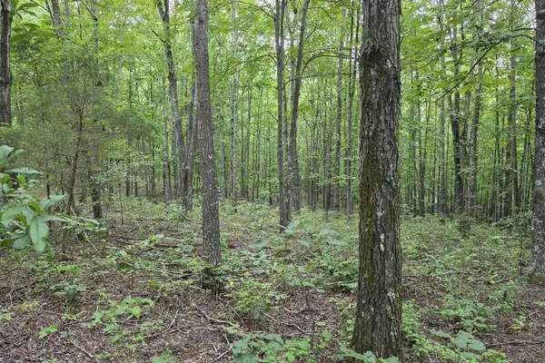 0 N Old Military Rd, Summertown, TN 38483