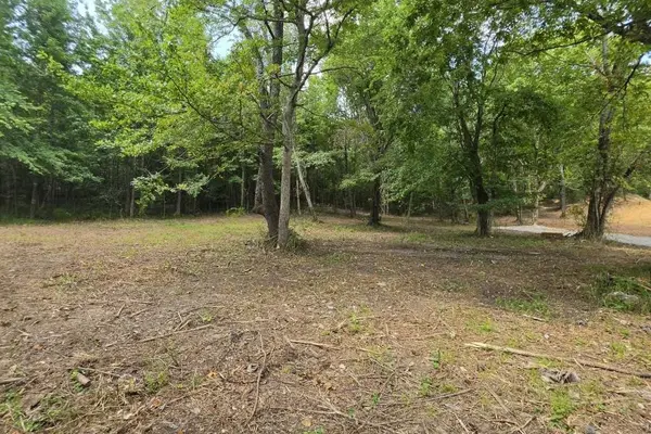 0 Dukes Park Rd, Summertown, TN 38483