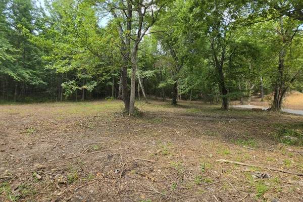 0 Dukes Park Rd, Summertown, TN 38483