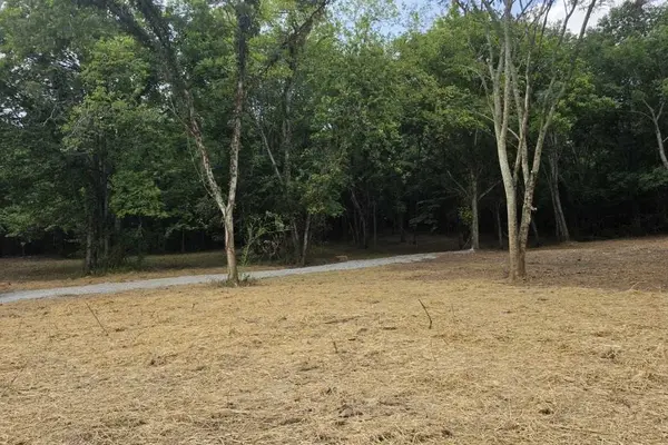 0 Dukes Park Rd, Summertown, TN 38483