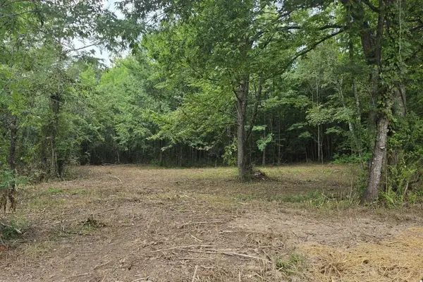 0 Dukes Park Rd, Summertown, TN 38483
