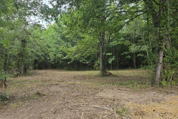 0 Dukes Park Rd, Summertown, TN 38483