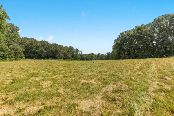 0 Pardue Rd, Hollow Rock, TN 38342