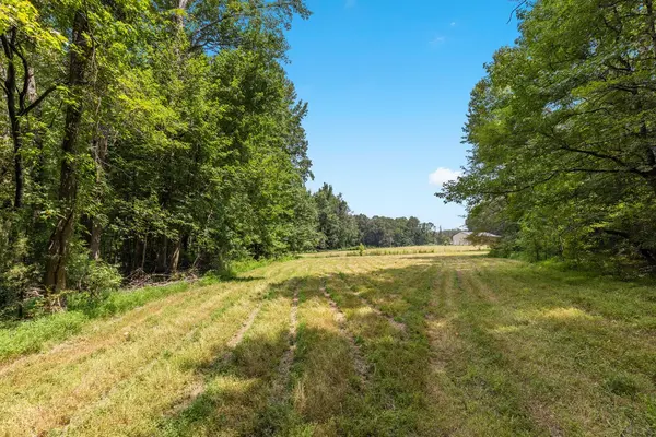 0 Pardue Rd, Hollow Rock, TN 38342