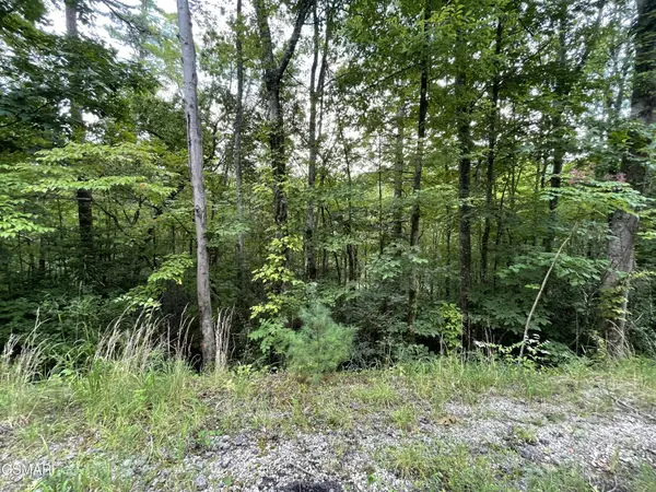 5 Stepping Stone Drive, Sevierville, TN 37862