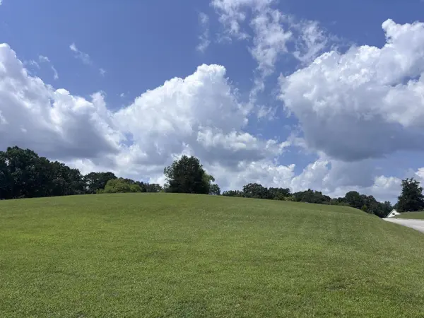 2439 Burton Road, Sale Creek, TN 37373