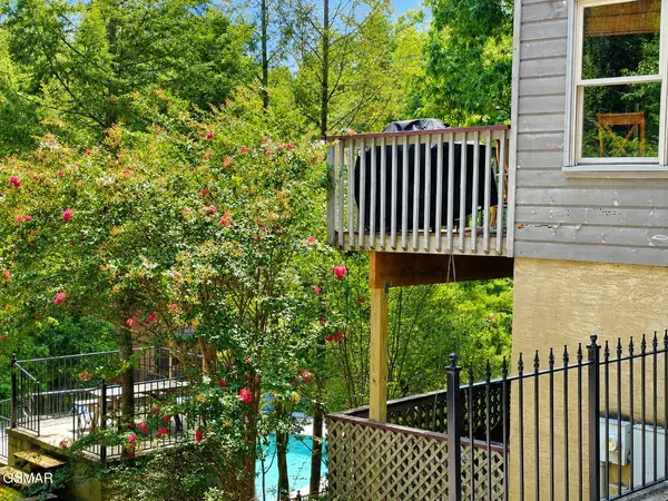310 Greenwood Way, Pigeon Forge, TN 37863