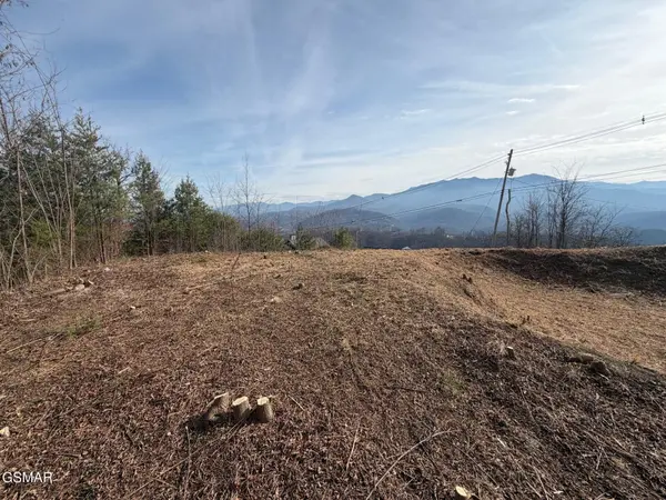 730 Wiley Oakley Drive, Gatlinburg, TN 37738