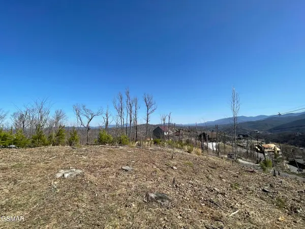 730 Wiley Oakley Drive, Gatlinburg, TN 37738