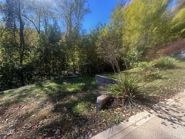 3143 Sourwood Way, Sevierville, TN 37862