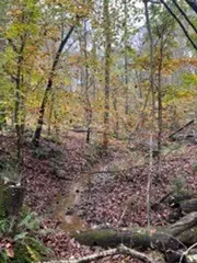 1560 Tulu Rd, Michie, TN 38357