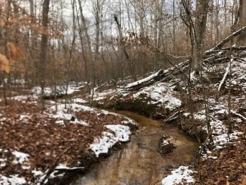 1560 Tulu Rd, Michie, TN 38357