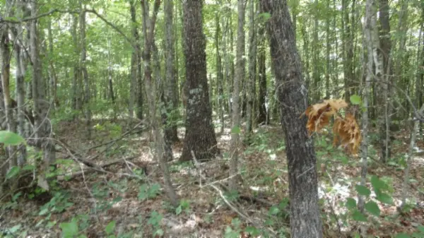 0 Parkstown Ext Rd, Wilder, TN 38589