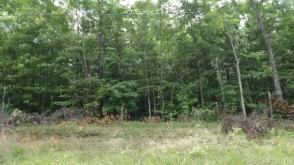 0 Parkstown Ext Rd, Wilder, TN 38589