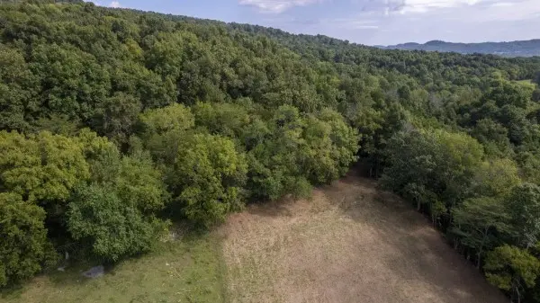 0 Badger Lane, Carthage, TN 37030