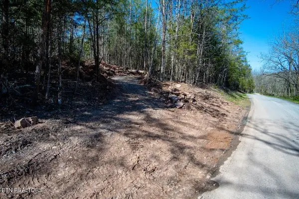0 Wolfenbarger, Luttrell, TN 37779