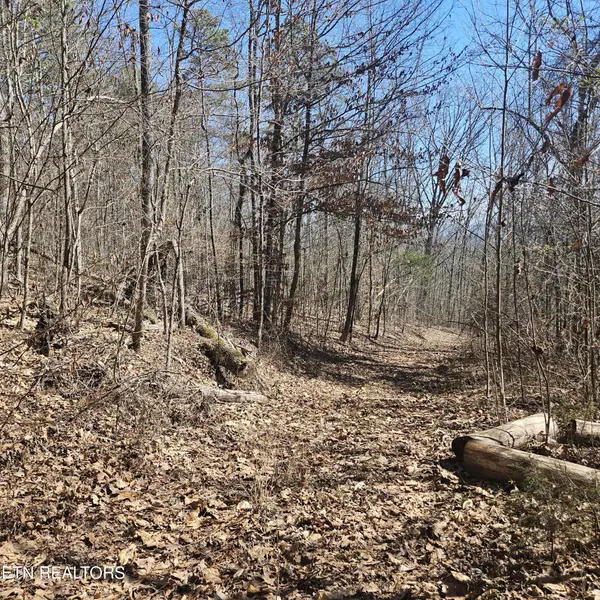 0 Lick Creek Rd, Tellico Plains, TN 37385