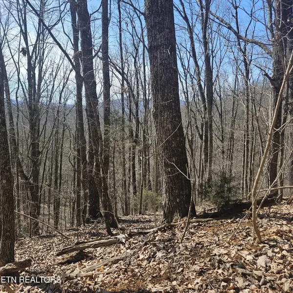 0 Lick Creek Rd, Tellico Plains, TN 37385