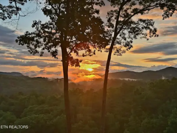 100 Warriors Passage Drive, Tellico Plains, TN 37385