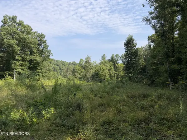 14030 Skull Creek Rd, Robbins, TN 37852