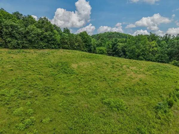 0 Rayburn Creek Rd, Collinwood, TN 38450