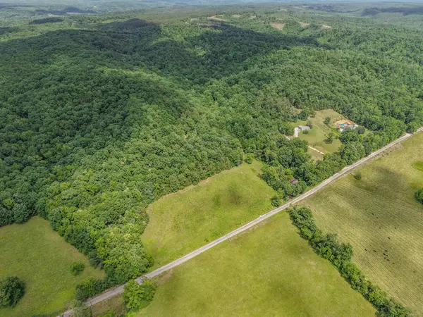 0 Rayburn Creek Rd, Collinwood, TN 38450