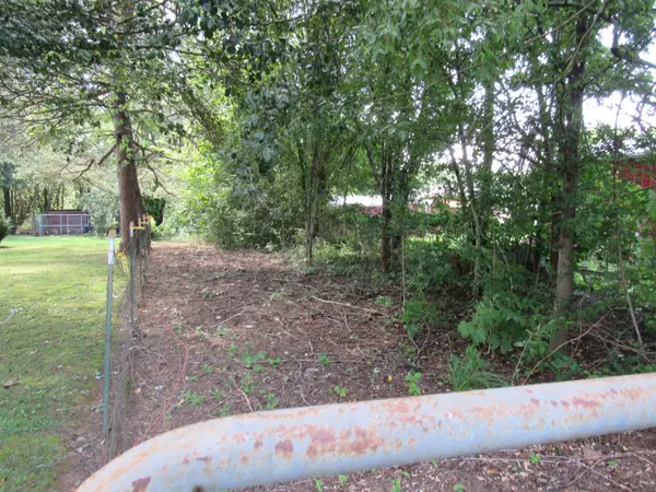 0 Hoover Drive and Collins St, Mc Minnville, TN 37110
