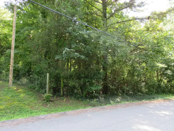 0 Hoover Drive and Collins St, Mc Minnville, TN 37110