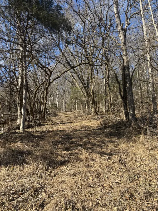 0 Dyer Branch Road, Gordonsville, TN 38563