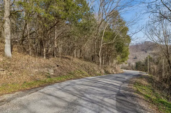 0 Dyer Branch Road, Gordonsville, TN 38563