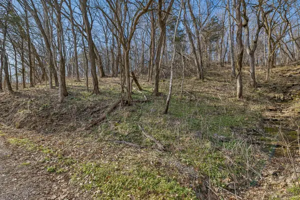 0 Dyer Branch Road, Gordonsville, TN 38563