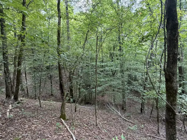 0 Deer Creek Rd, Linden, TN 37096