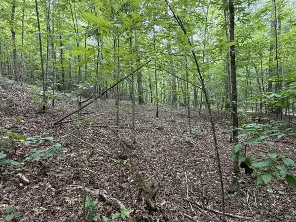 0 Deer Creek Rd, Linden, TN 37096