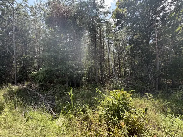 0 Louise Ln, Linden, TN 37096