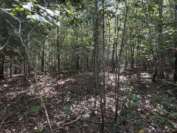 0 Louise Ln, Linden, TN 37096