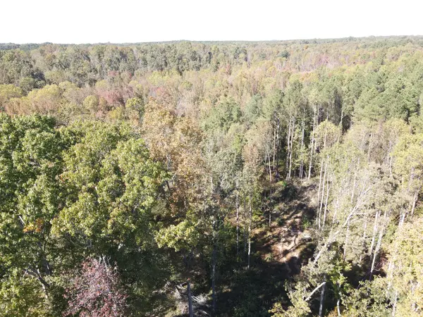 1 Copper Spring Road, Springville, TN 38256