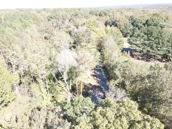 1 Copper Spring Road, Springville, TN 38256