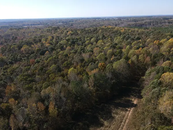 2 Copper Spring Road, Springville, TN 38256