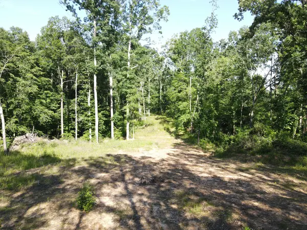 3 Copper Spring Road, Springville, TN 38256