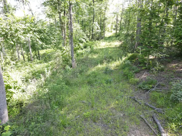 3 Copper Spring Road, Springville, TN 38256