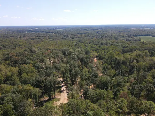 4 Copper Spring Road, Springville, TN 38256
