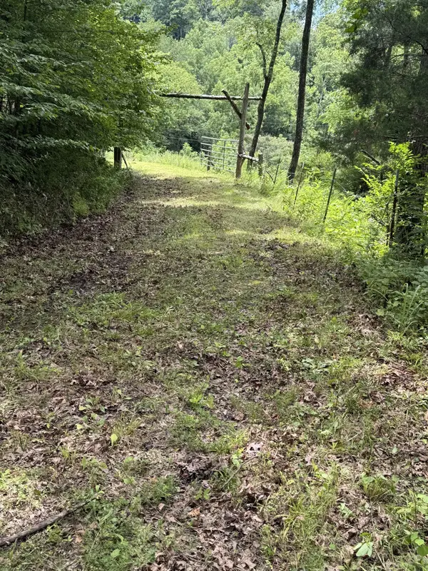 0 Honeysuckle Lane, Ashland City, TN 37015