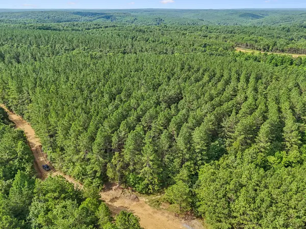 0 Falls Branch Road, Duck River, TN 38454