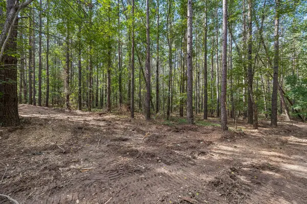 0 Falls Branch Road, Duck River, TN 38454