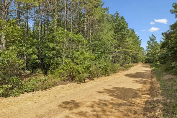 0 Falls Branch Road, Duck River, TN 38454
